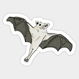 Cute Bat Sticker